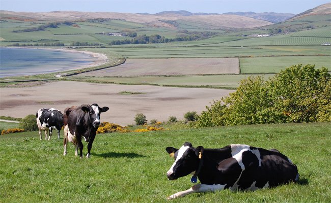 Ettrick Bay, Isle of Bute